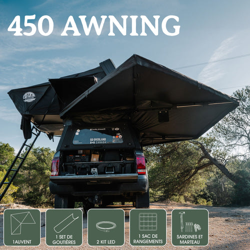 Vrijstaande luifel 450