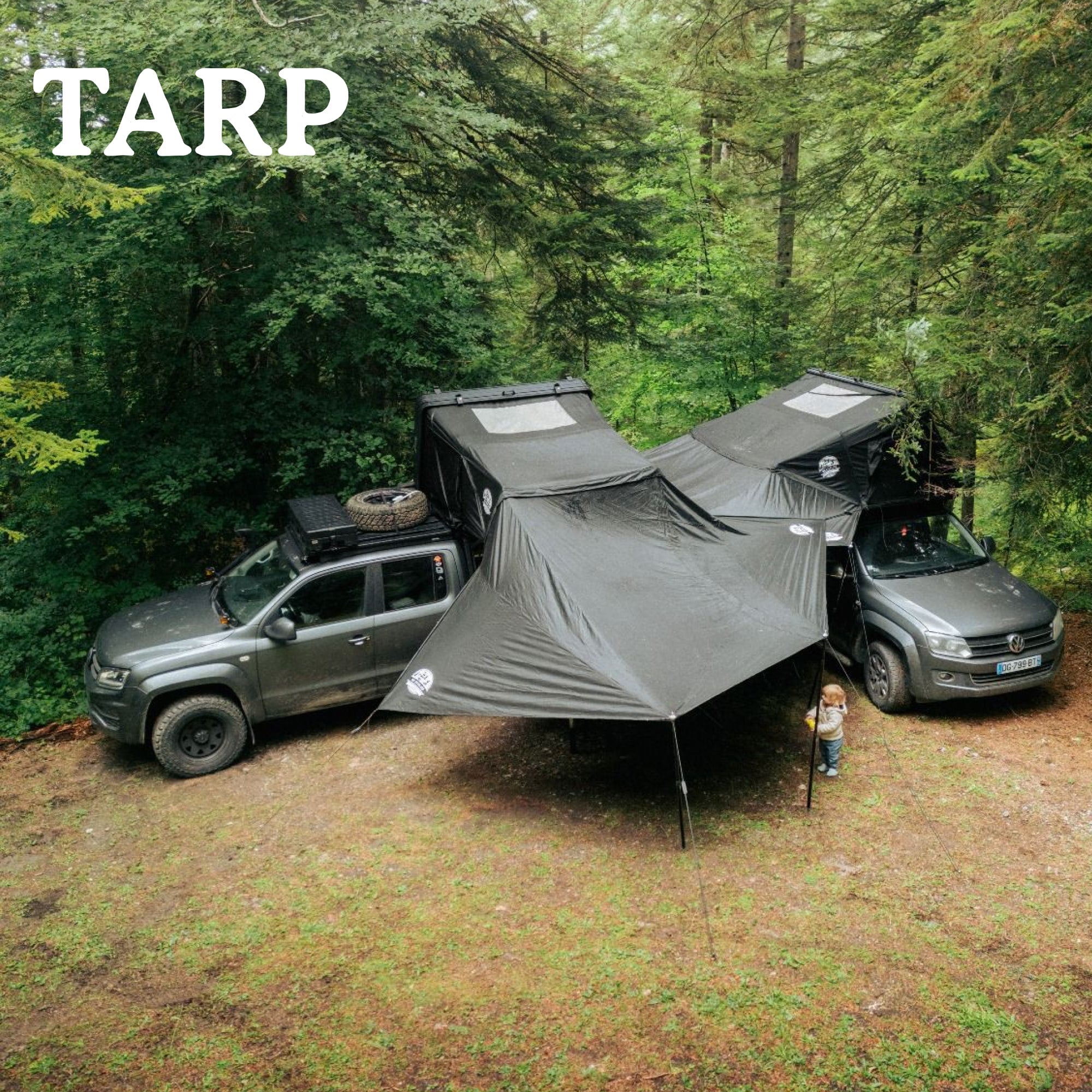 Tarp